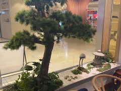 -玲珑·新粤菜(安华汇店)