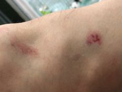 -核客极限挑战
