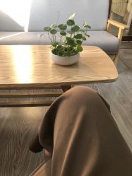 -痘院长·祛痘·科技美肤