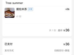 -树夏Tree Summer