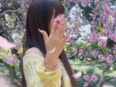 -金鸡湖桃花岛