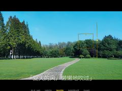 -合肥滨湖国家森林公园