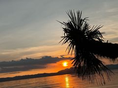 -捞渔河湿地公园