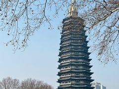 -红梅公园
