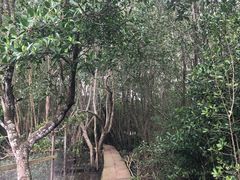 -东寨港红树林旅游区