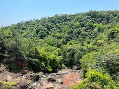 -广州白江湖森林公园