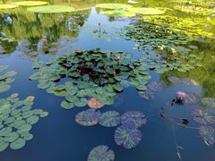 -国家植物园南园