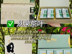 -日照海滨国家森林公园