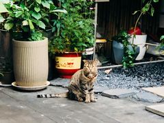 -陈生记黑鱼馆·20年活鱼现杀(宁波鼓楼店)