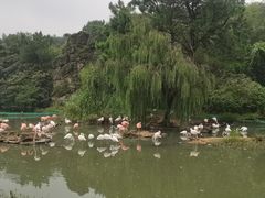 -宁波野生动物园