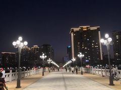 -野狸岛