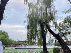 -长春市南湖公园