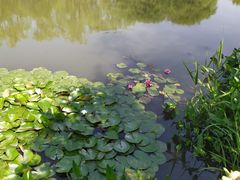 -新江湾城公园