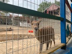 -武汉紫薇都市田园