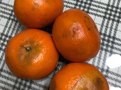 -上海龙吴水胜海发市场