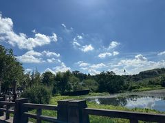 -鸣鹤古镇