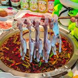 家人们！来这里实现蛙蛙自由了！  