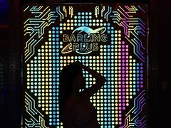 -Darling Queen·Mini·Live·House