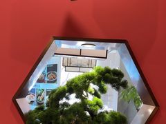 -洞庭家宴·头牌甲鱼(广渠门店)