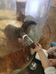 -Zoolung Zoolung动物主题公园(海信广场店)