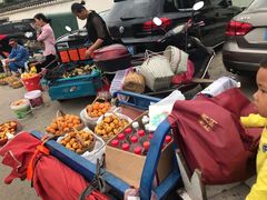 -塘栖枇杷特色园区