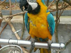 -泉州海丝野生动物世界