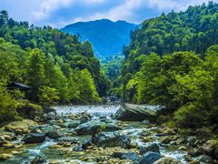 -祁门牯牛降观音堂风景区