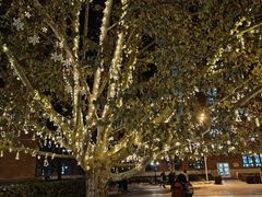 -北京市海淀外国语实验学校