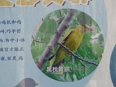 -东郊湿地公园