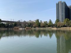 -美兰湖景区