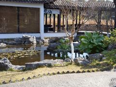-日出青木
