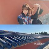 北京旅游攻略｜红墙绿瓦诗意盎然｜天坛公园