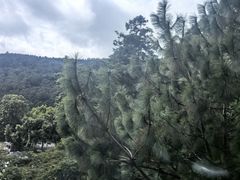 -苍山感通索道