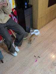 -二重奏·造型工作室