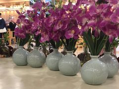-荷花泰菜(东方新天地店)