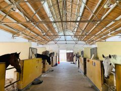 -松声马术俱乐部