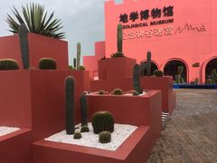 -漳州滨海火山岛自然生态风景区