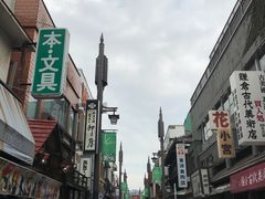 -鎌倉茶々(本店)