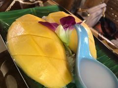 -Jungle Kitchen