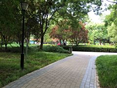 -玲珑塔公园