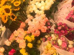 -绿叶子(春秀路店)