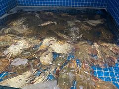 -渔满仓海鲜渔家(象山二店)