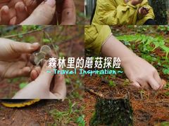 -北京九华山庄会展酒店