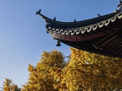 -西园寺素食(西园弄戒幢律寺店)