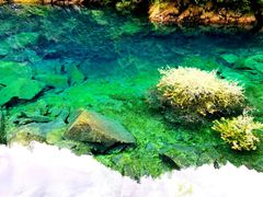 -叠溪松坪沟景区