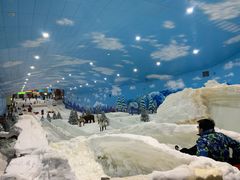 -世界之窗阿尔卑斯冰雪世界