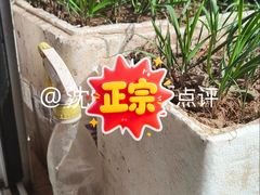 -启东市和睦幼儿园(公园中路)