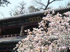 -潭柘寺景区