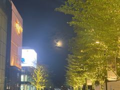 -深圳湾万象城