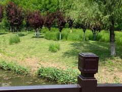 -梁鸿国家湿地公园